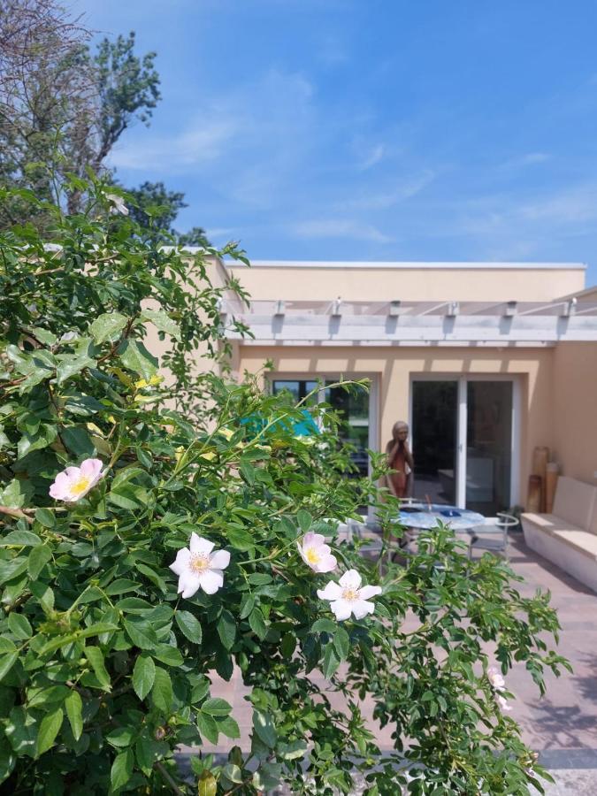 Bed and Breakfast Pioppi Neri R&B Felino Экстерьер фото